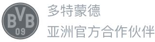 多特蒙德合作伙伴